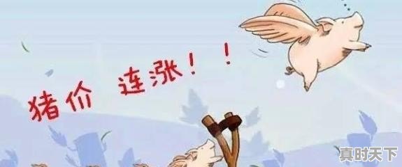 广东省生猪价格在最近2个月一直领先全国,已经达到11.2元一斤,为什么能领先呢 - 真时天下