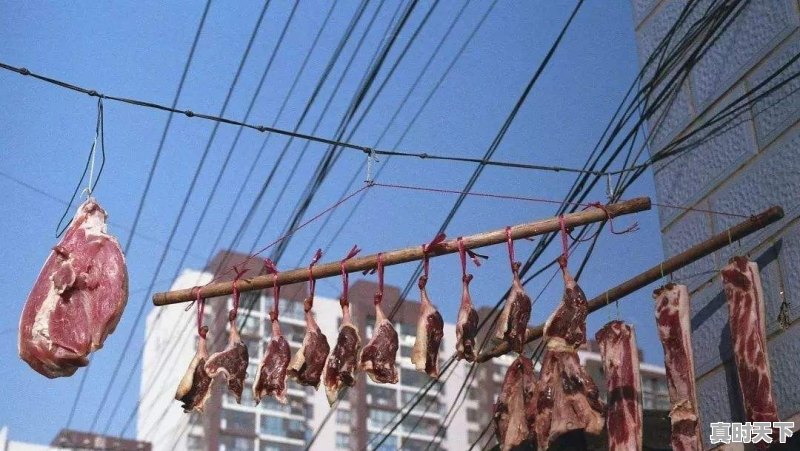 广东省生猪价格在最近2个月一直领先全国,已经达到11.2元一斤,为什么能领先呢 - 真时天下