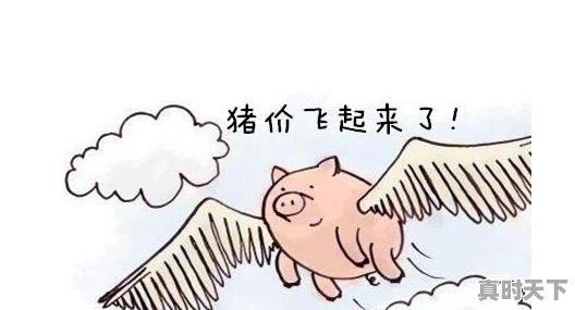 股票没有买卖就不会涨跌，那为什么有利好消息就有人去买？是因为有利好消息就会涨吗 - 真时天下