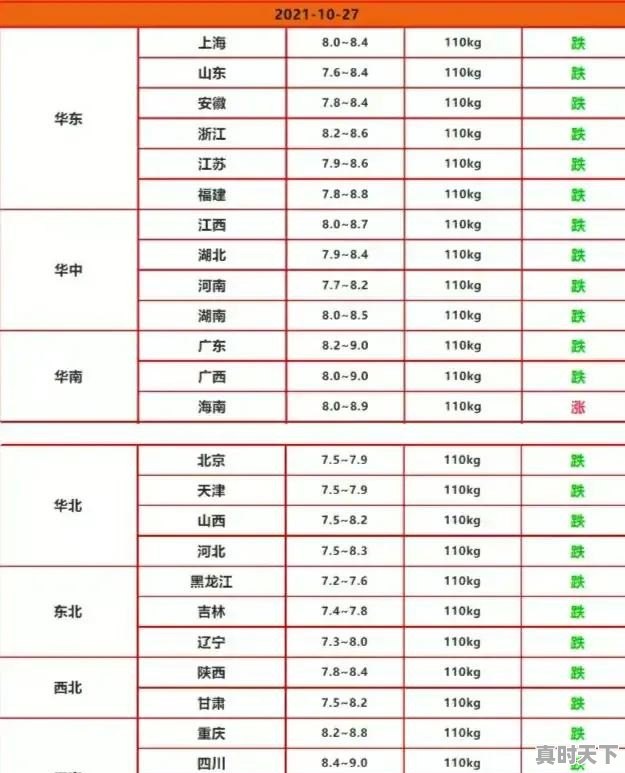 猪肉涨到20块一斤！意味着什么 - 真时天下