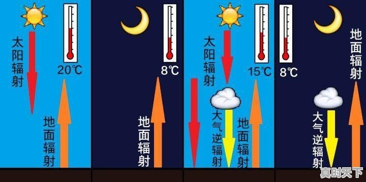 你喜欢花吗？有哪些好看的花朵照片可以分享吗 - 真时天下