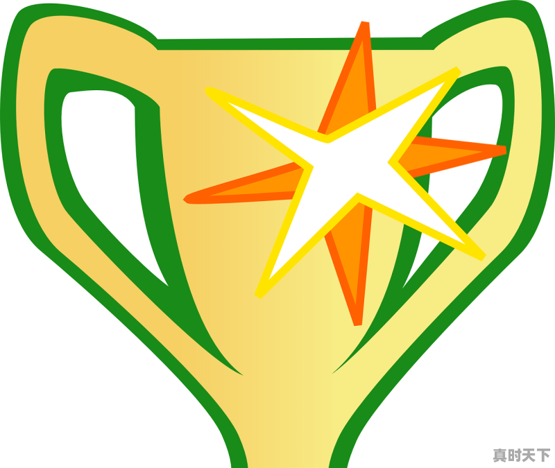 华语电影节传媒大奖有哪些奖项 - 真时天下