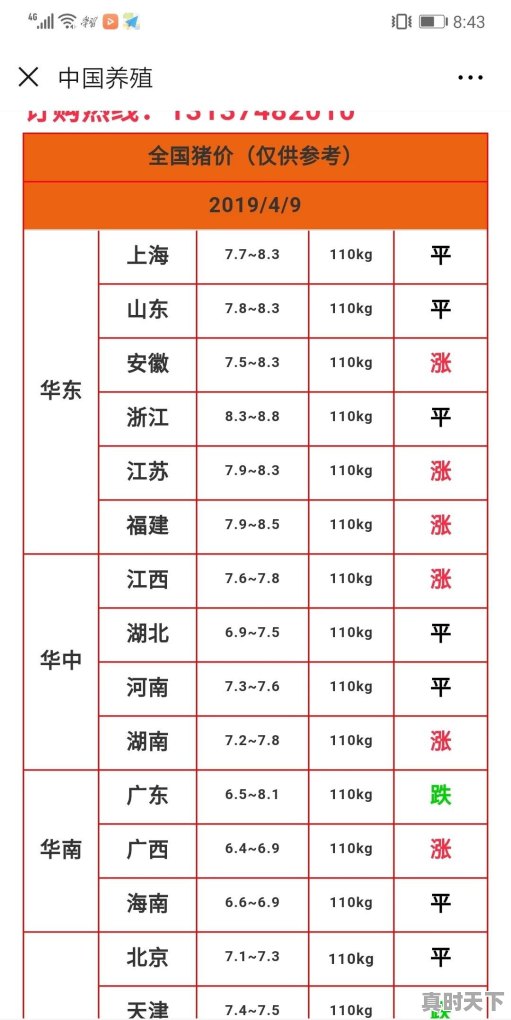 今日30万的仔猪价格 - 真时天下