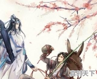 小学生能看《魔道祖师》吗 - 真时天下