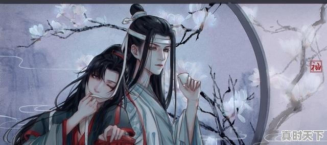 小学生能看《魔道祖师》吗 - 真时天下