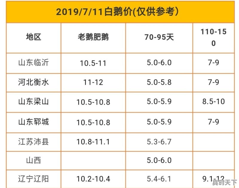 鹅肉价格今日价2022 - 真时天下