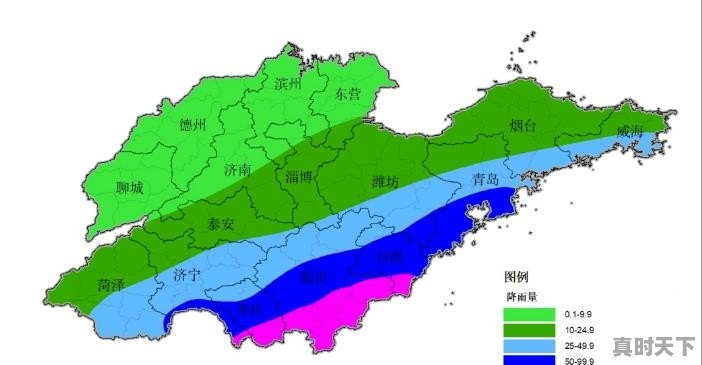 今日青岛日照蔬菜价格 - 真时天下