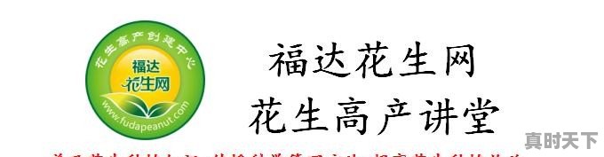 河南延津焦作地区花生受到阴雨天的影响，具体情况是？让更多的人关注也是一种力量 - 真时天下