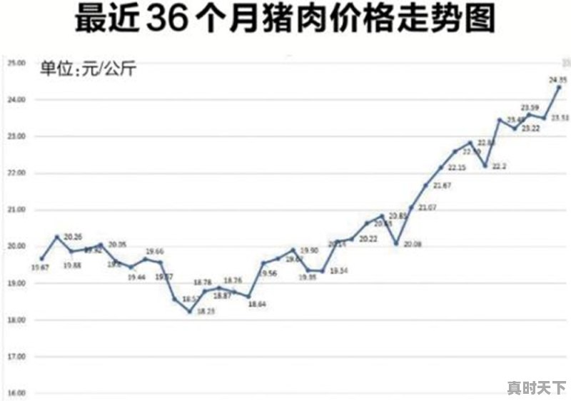 清远今日最新生猪价格 - 真时天下