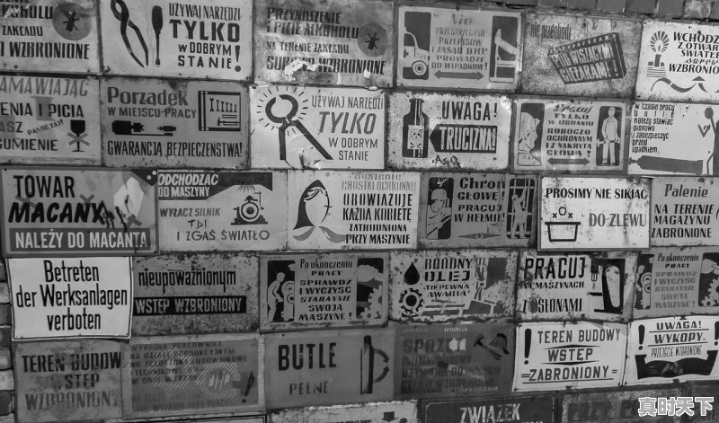 电影节目内容有哪些方面 - 真时天下