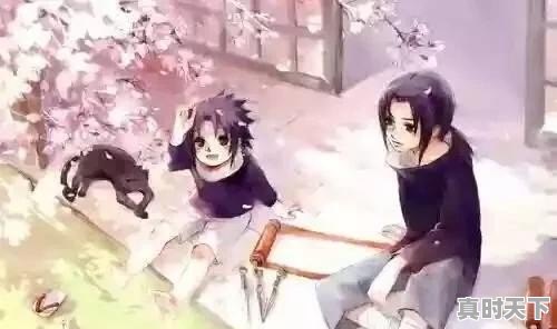 众多动漫中,哪一部的兄弟情(兄妹情)最让你羡慕 - 真时天下