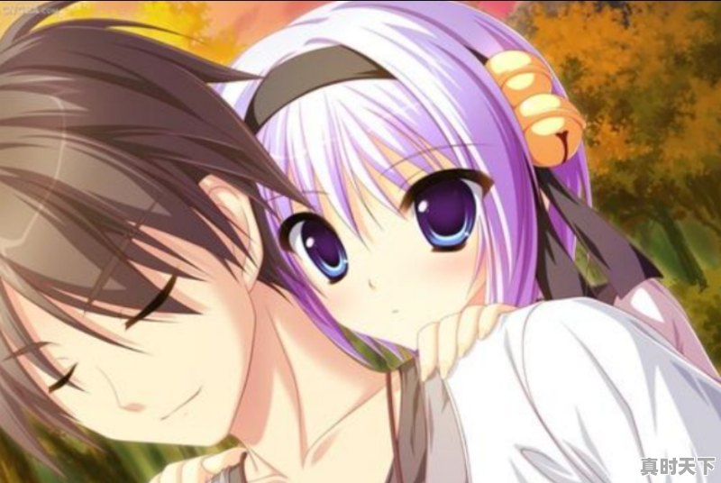 众多动漫中,哪一部的兄弟情(兄妹情)最让你羡慕 - 真时天下