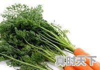 疫情期间，胡萝卜卖9.9元/箱，净重5.5斤还包邮，这价格有多少朋友能接受 - 真时天下