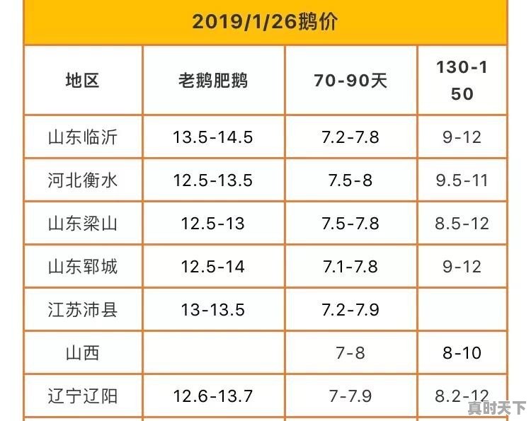 鹅苗价格今日价2022 - 真时天下