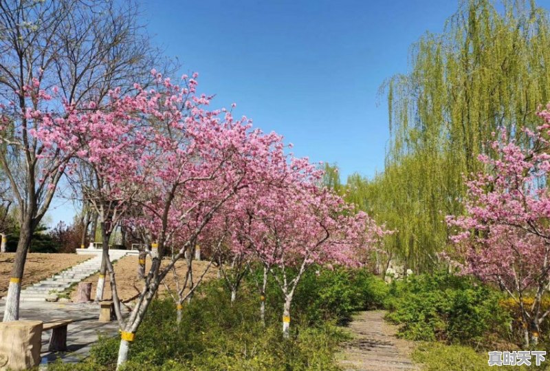 疫情原因不能去旅游看风景了，大家所在地有什么好看的风景照，求分享 - 真时天下