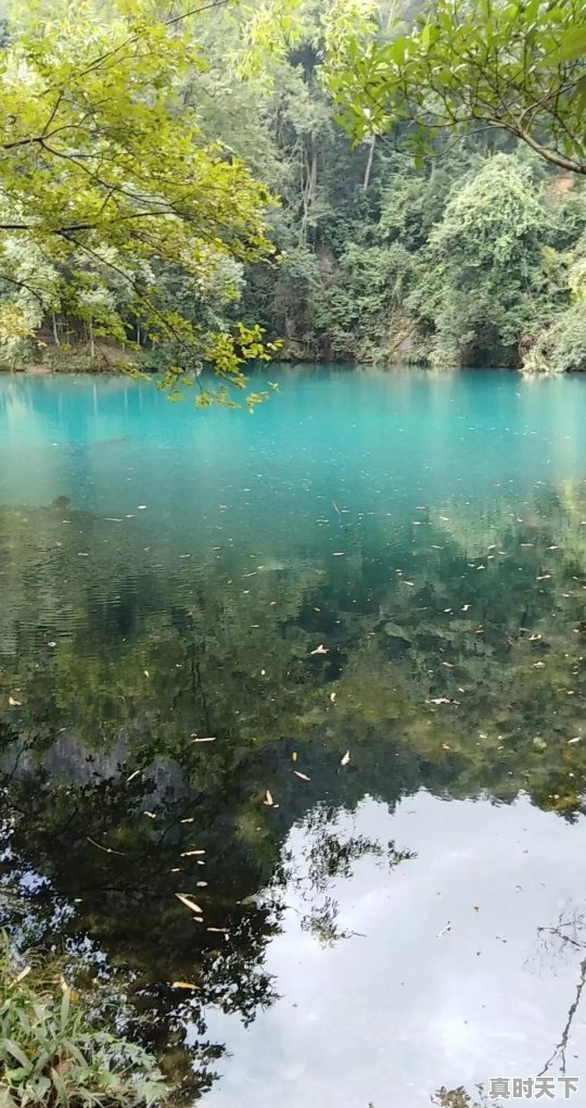 疫情原因不能去旅游看风景了，大家所在地有什么好看的风景照，求分享 - 真时天下