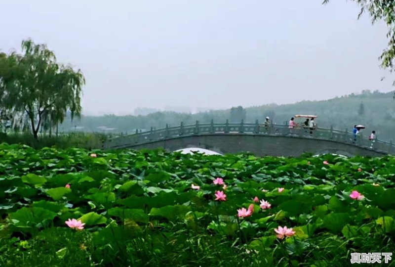 疫情原因不能去旅游看风景了，大家所在地有什么好看的风景照，求分享 - 真时天下