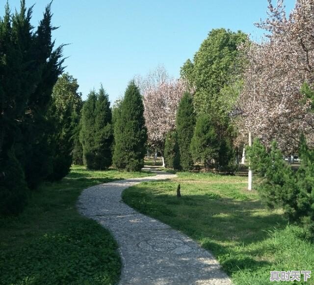 疫情原因不能去旅游看风景了，大家所在地有什么好看的风景照，求分享 - 真时天下