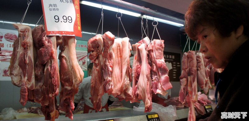 现在猪肉是蔬菜价,蔬菜是猪肉价,这是什么原因呢 - 真时天下