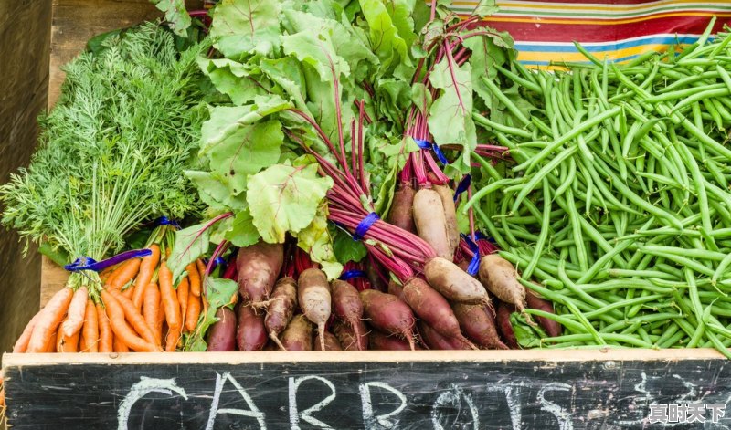 现在猪肉是蔬菜价,蔬菜是猪肉价,这是什么原因呢 - 真时天下