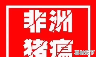 今日四川的猪价是多少 - 真时天下