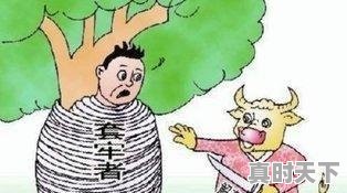 炒股不慎被套，装死好还是割肉好？该不该加仓拉低成本 - 真时天下