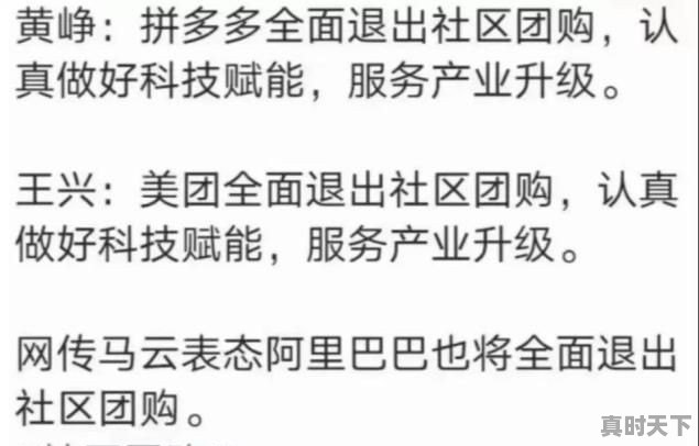 如何评价媒体评社区团购：互联网巨头理应在科技创新上有更多担当和追求，别只惦记着几捆白菜 - 真时天下