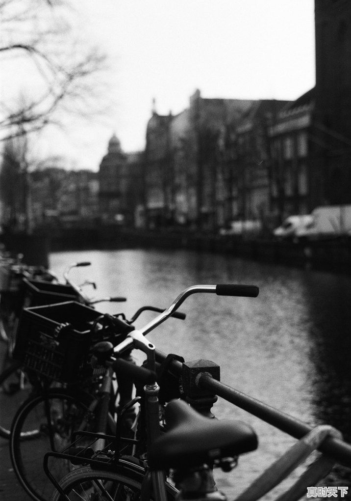 为什么要设立股市?设立股市的目的是什么 - 真时天下