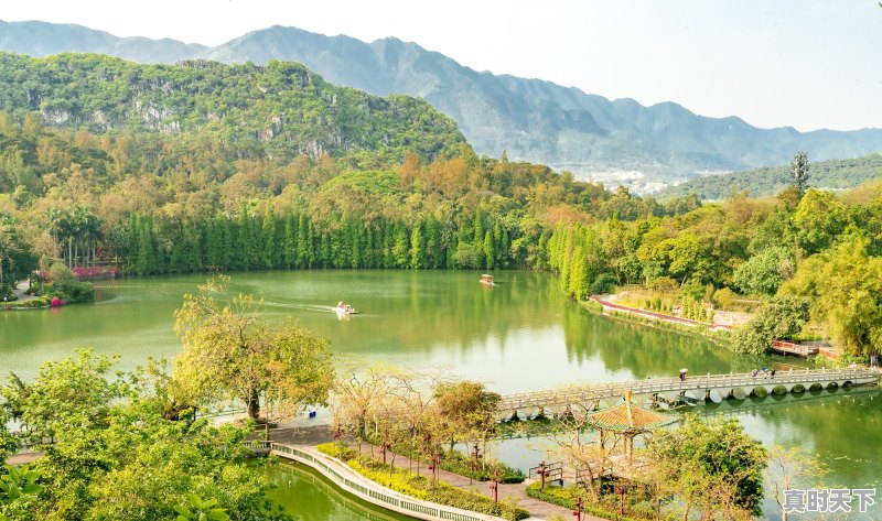 最近想去广东旅游，哪位朋友有好的旅游规划 - 真时天下