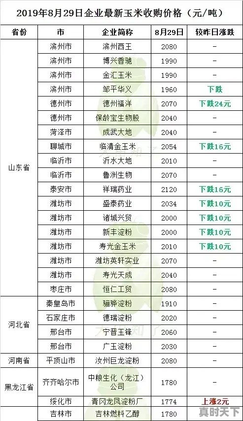 玉米价格多少钱一斤？预测一下2019年9月份玉米价格行情将如何 - 真时天下