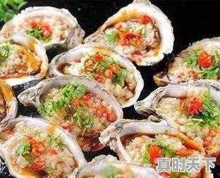 各个生蚝产地有哪些区别和特色 - 真时天下