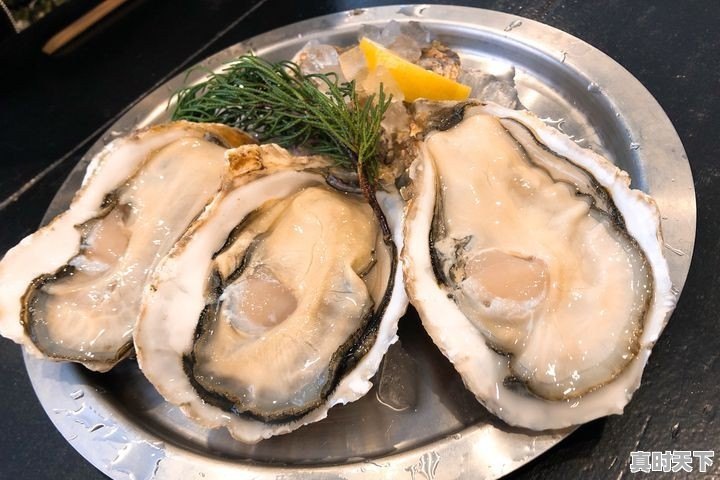 各个生蚝产地有哪些区别和特色 - 真时天下