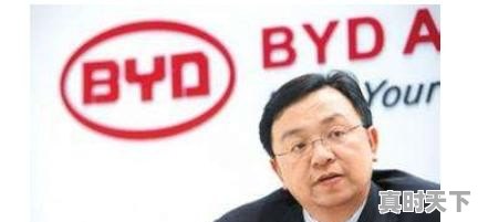 比亚迪股票长期持有价格 - 真时天下