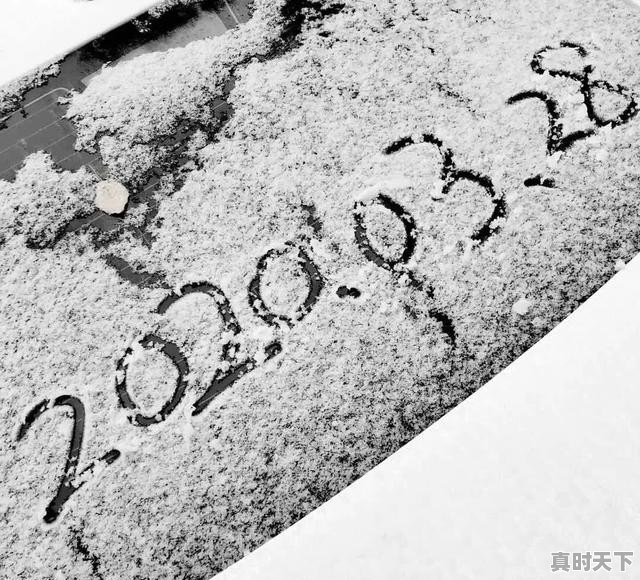 3月底了，江苏还下雪，这天气怎么了 - 真时天下