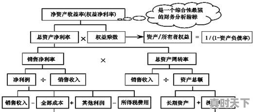 股票净资产收益率排名 - 真时天下