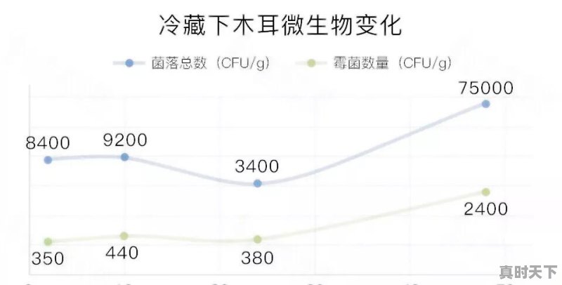 近日浙江金华一家三口因吃泡发黑木耳中毒，其女儿生命垂危，黑木耳到底还能不能吃？怎样吃才安全 - 真时天下