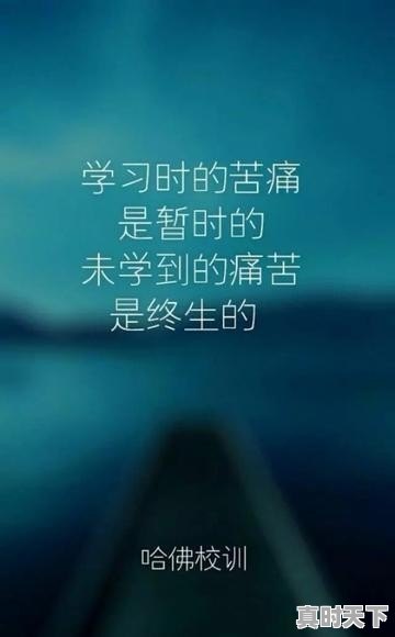 你知道那些一诗一生活的诗句 - 真时天下