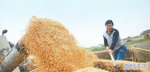 说出你家乡的小吃，让大家猜猜你是哪里人 - 真时天下