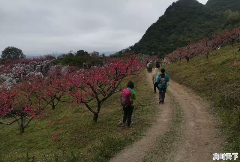 有没有乡村美丽的景色分享下呢 - 真时天下