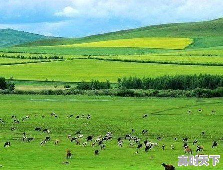 7月份8月份最适合去哪里穷游呢？喜欢风景漂亮的地方 - 真时天下