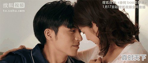 破案题材的电影和连续剧，特别好看的有哪些 - 真时天下