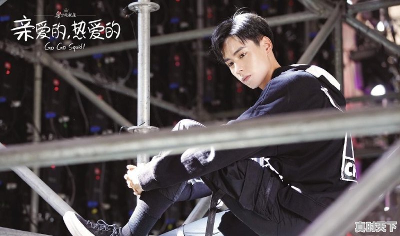 破案题材的电影和连续剧，特别好看的有哪些 - 真时天下