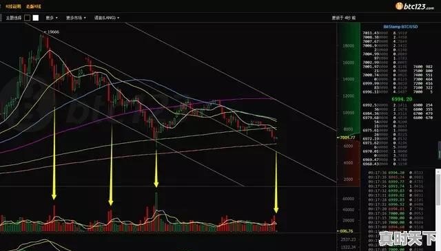 比特币2018年会暴跌至5000元，你怎么认为 - 真时天下