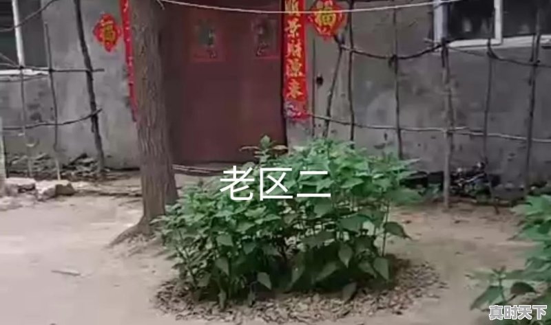 你自己家乡最有特色的两道菜和两个风景名胜是什么 - 真时天下