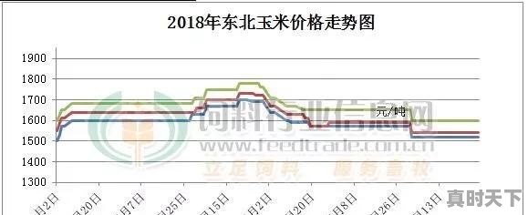 山东打响玉米落价第一枪，东北深加工为何能逆势上涨 - 真时天下