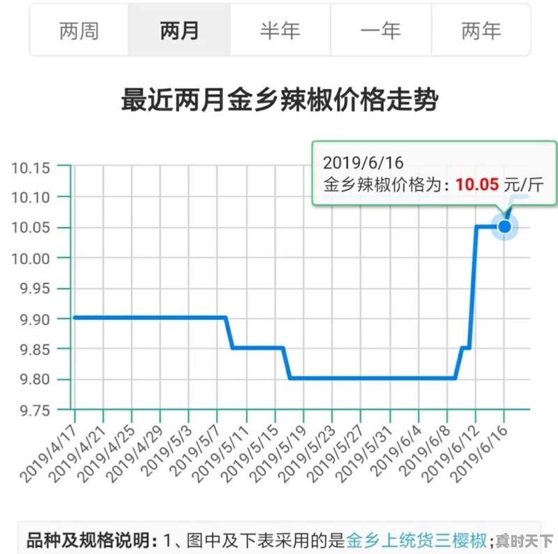 朝天辣下半年价钱怎么样 - 真时天下