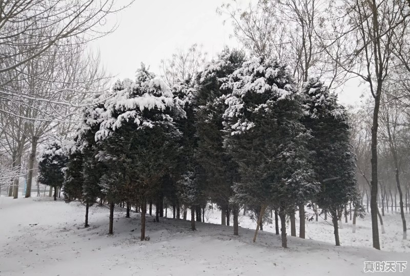 河南将开启大风+降温+雨雪模式，目前郑州天气如何 - 真时天下