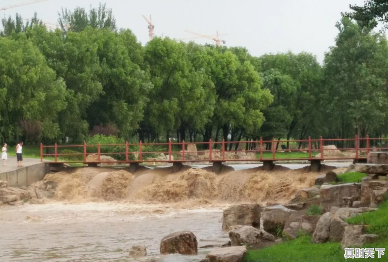 河南将开启大风+降温+雨雪模式，目前郑州天气如何 - 真时天下