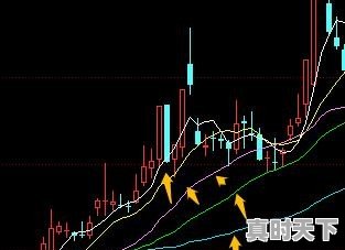 请问超短线操作哪些指标成功率比较高 - 真时天下