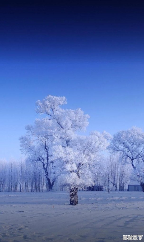 2月13日天气 - 真时天下